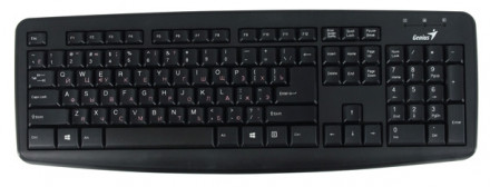 Клавиатура Genius KB110X черный USB
