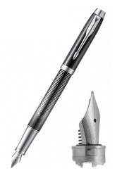 Ручка перьевая Parker IM Premium SE F325 (2074142) Metallic Pursuit F